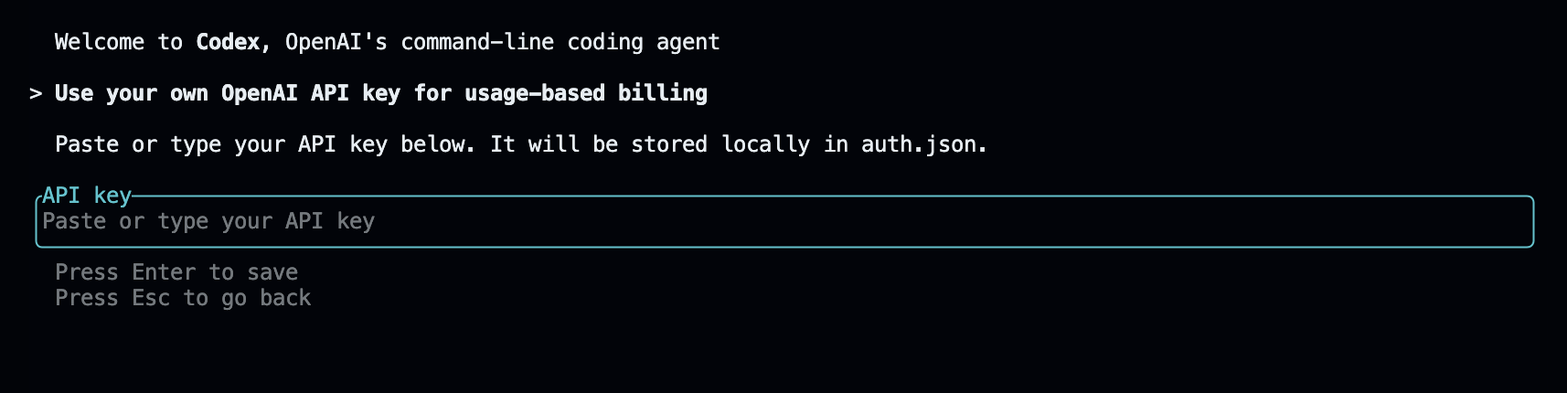 api key