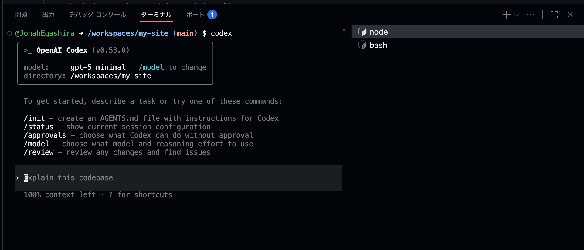 Codex NPM