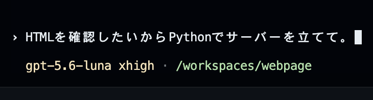 codex-python-server
