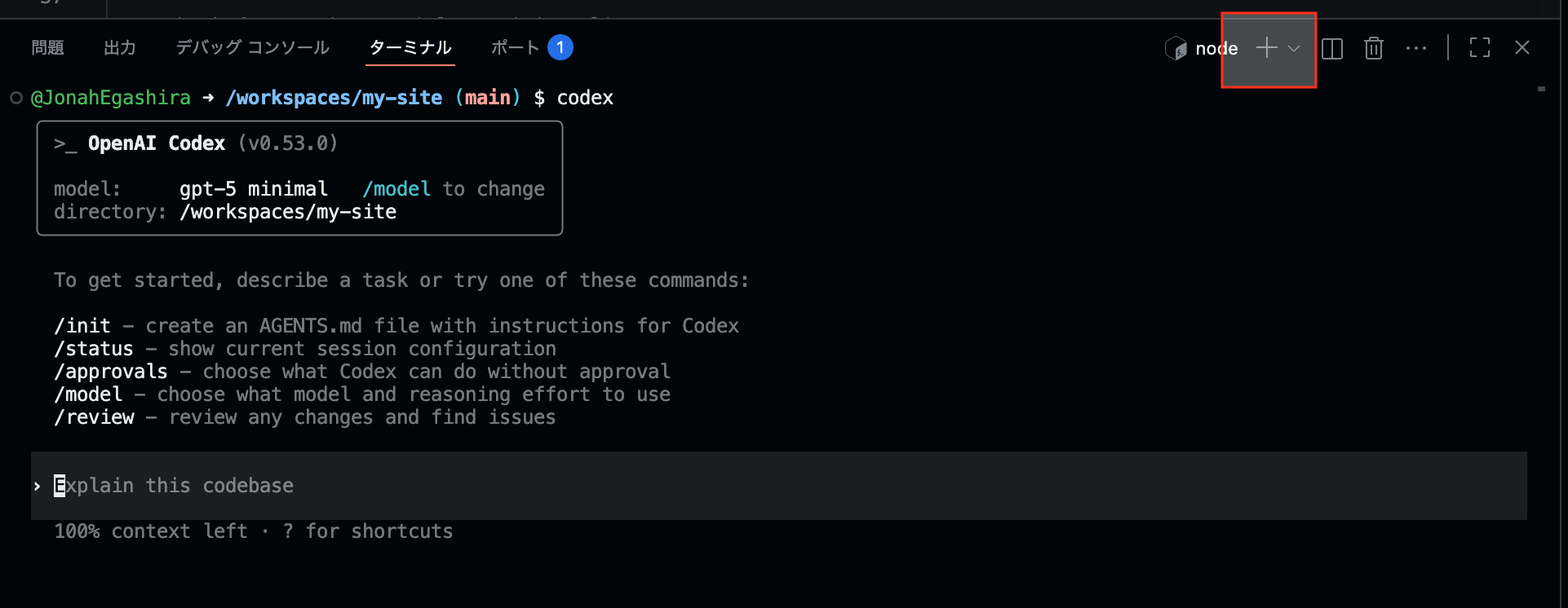 codespace-bash